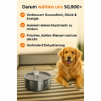 HydraPro™ – Intelligenter Trinkbrunnen für Hunde & Katzen