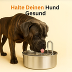 HydraPro™ – Intelligenter Trinkbrunnen für Hunde & Katzen