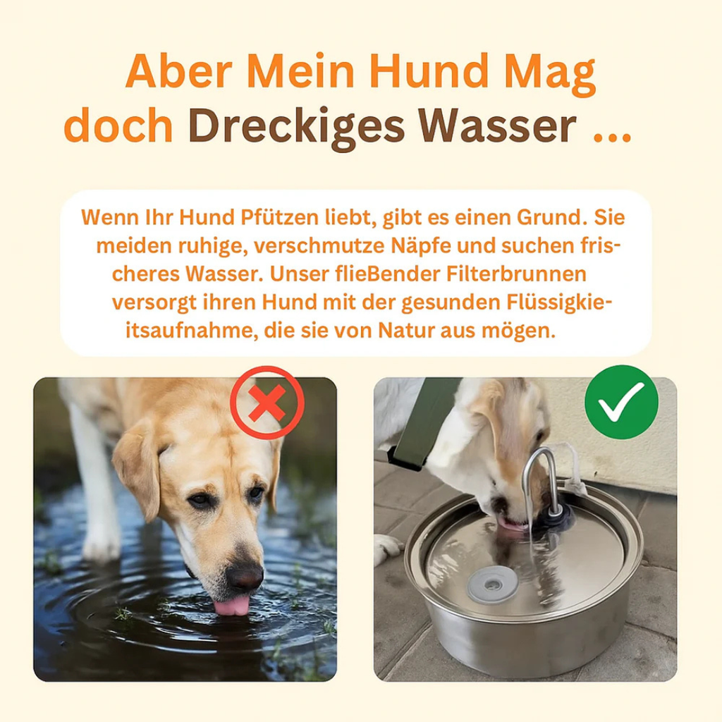 HydraPro™ – Intelligenter Trinkbrunnen für Hunde & Katzen