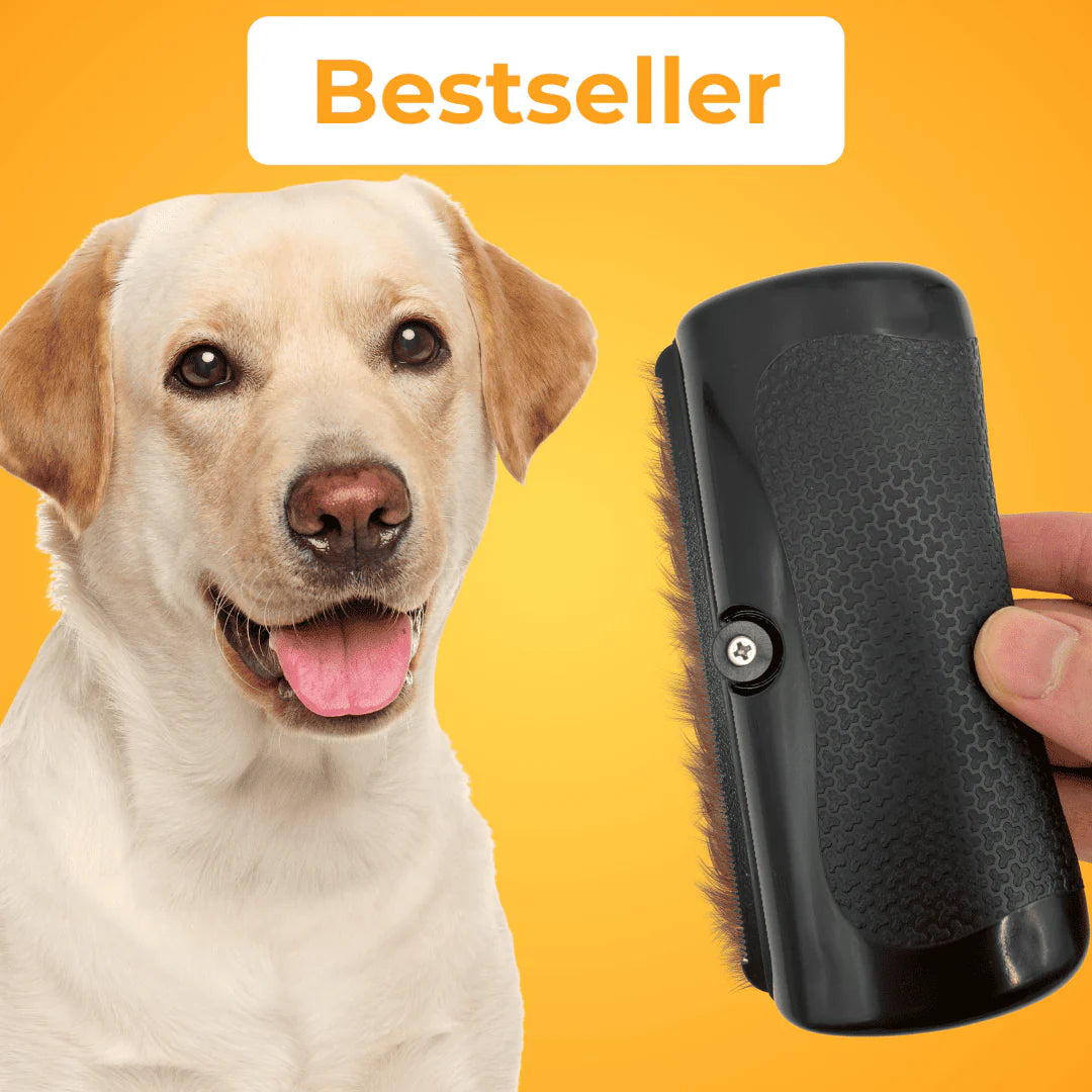 GroomPro™ – Trimmer für Hunde & Katzen