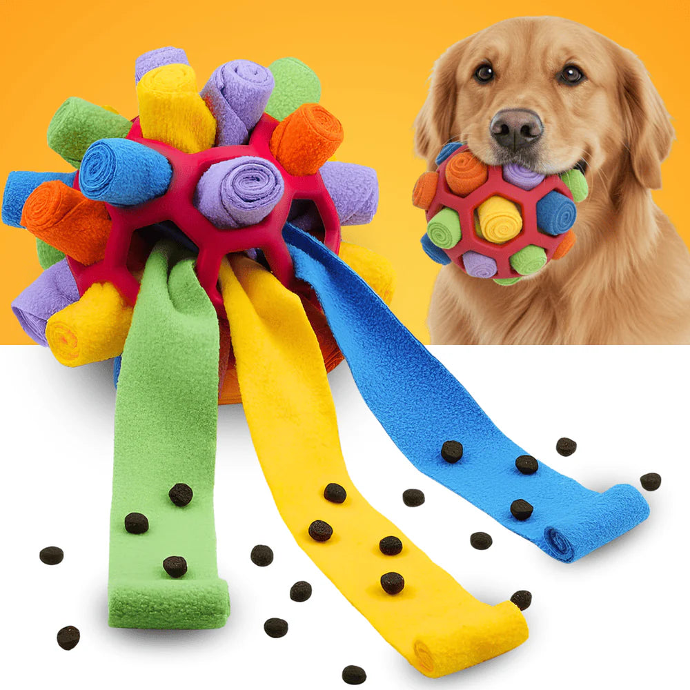 Das interaktive Schnüffelspiel für mentale Auslastung