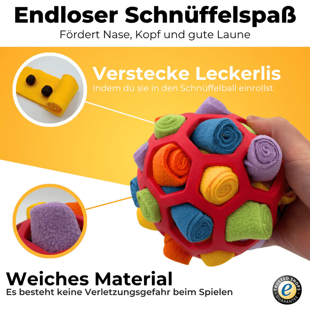 Das interaktive Schnüffelspiel für mentale Auslastung