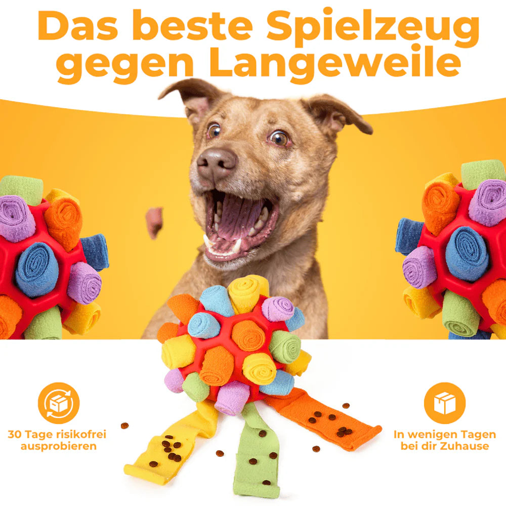 Das interaktive Schnüffelspiel für mentale Auslastung