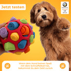 Das interaktive Schnüffelspiel für mentale Auslastung