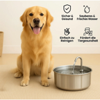 HydraPro™ – Intelligenter Trinkbrunnen für Hunde & Katzen
