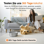 HydraPro™ – Intelligenter Trinkbrunnen für Hunde & Katzen