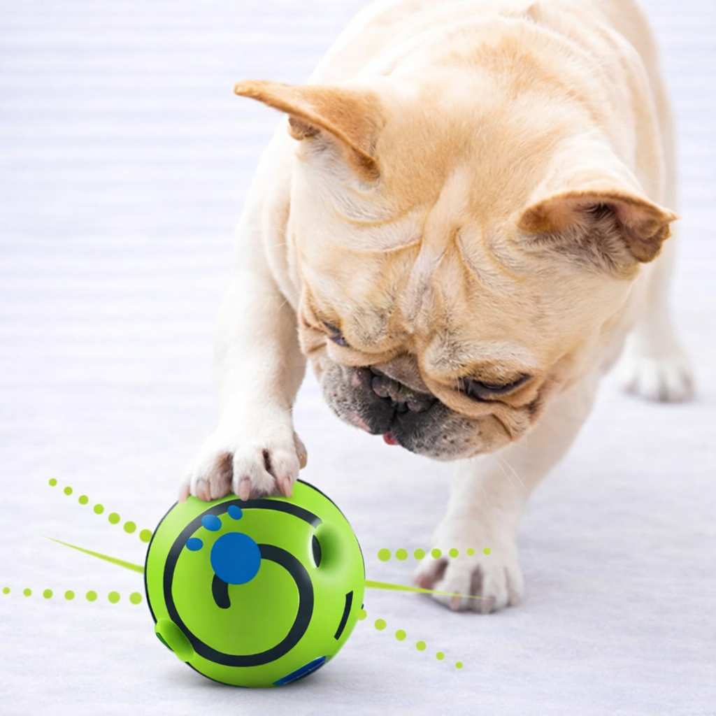 Interaktiver Hundeball