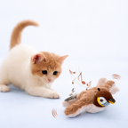 Weckt den Jagdinstinkt deiner Katze