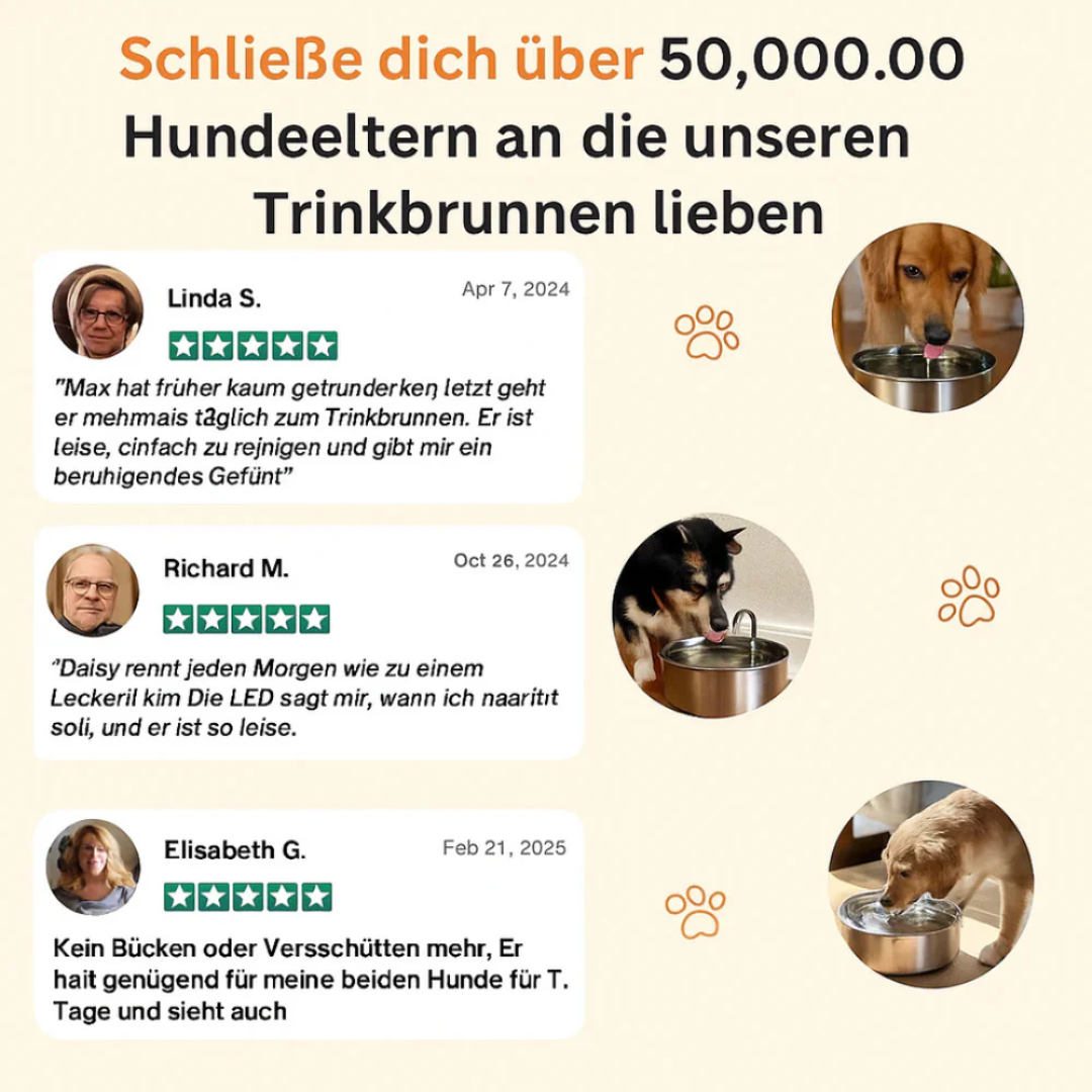 HydraPro™ – Intelligenter Trinkbrunnen für Hunde & Katzen