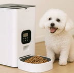 Automatischer Hundefutterspender