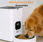 Automatischer Hundefutterspender