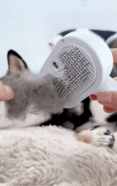 Steami Pro™ – Wiederaufladbare Dampf-Fellbürste für Haustiere