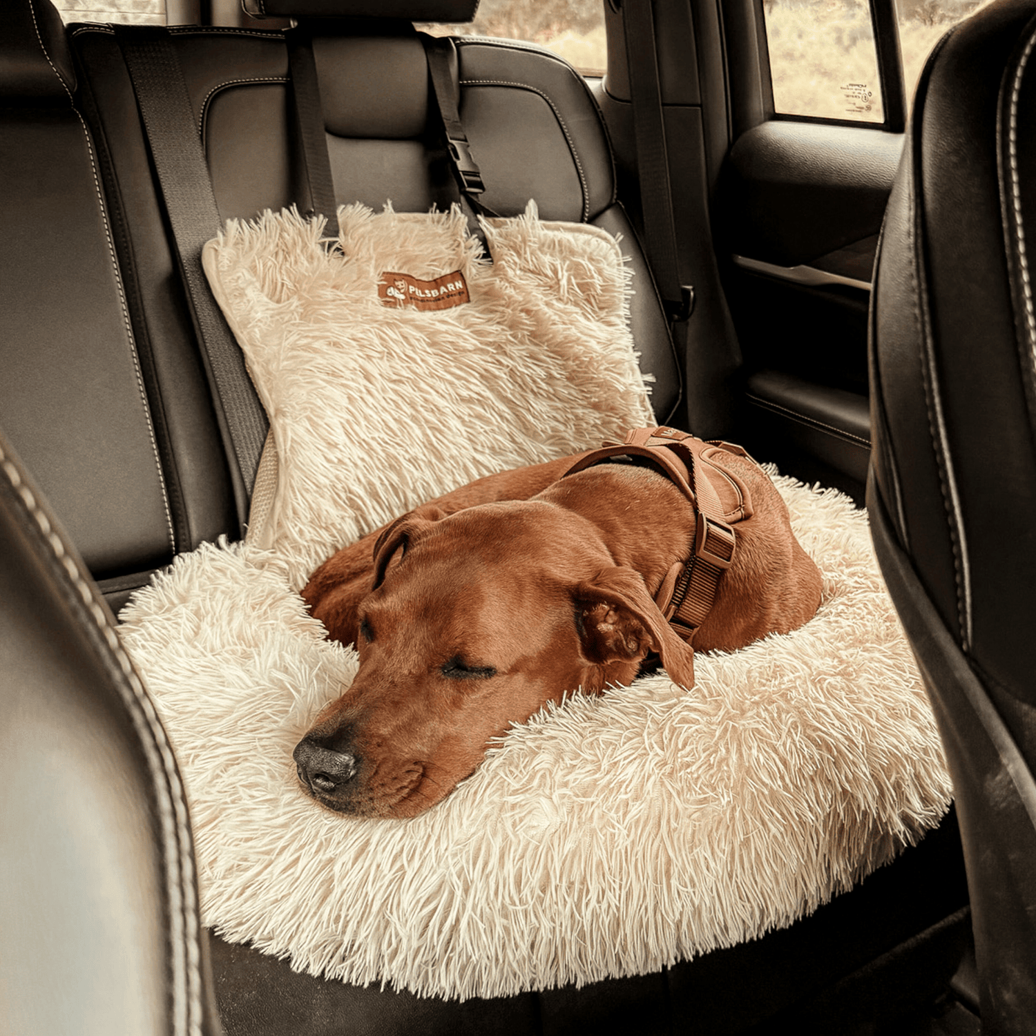 Wuff & Co® – Schützendes & Kuscheliges Hundebett fürs Auto