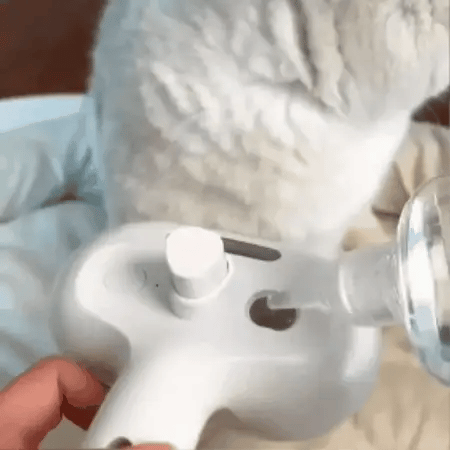 Steami Pro™ – Wiederaufladbare Dampf-Fellbürste für Haustiere