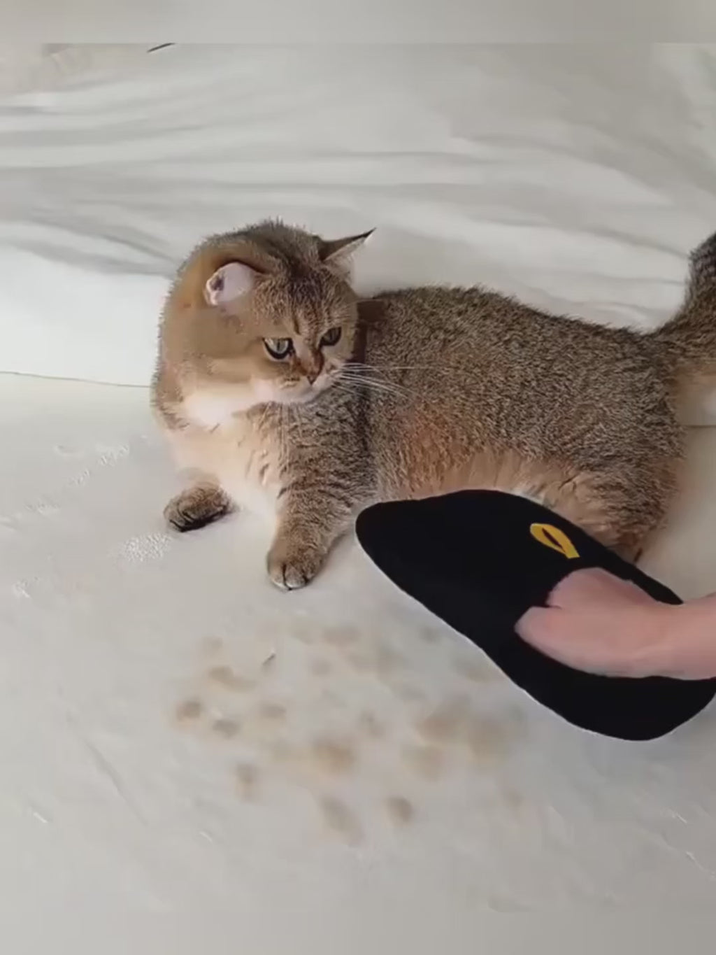 Lint Magnet - The Bestseller