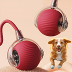 spielballhund - Wuff & Co 
