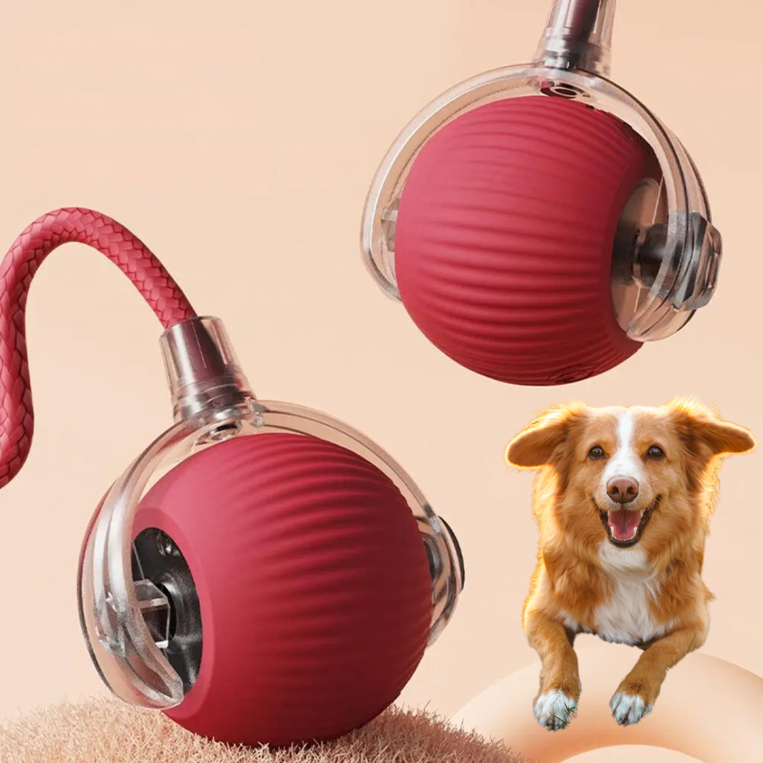 Der interaktive Spielball, der Hunde wirklich auslastet